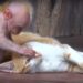 Est-ce que une femme peut tomber enceinte d'un animal ?
