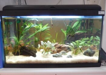 Est-ce qu'un aquarium consomme beaucoup d'électricité ?