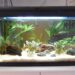 Est-ce qu'un aquarium consomme beaucoup d'électricité ?