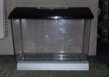 Est-ce qu'un aquarium consomme beaucoup d'électricité ?