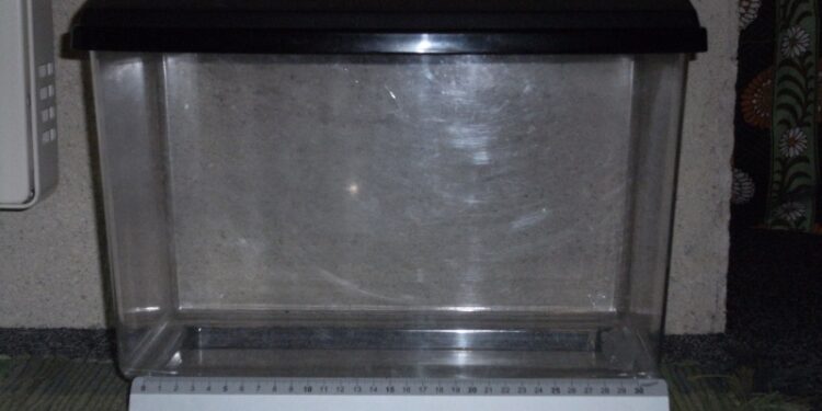 Est-ce qu'un aquarium consomme beaucoup d'électricité ?