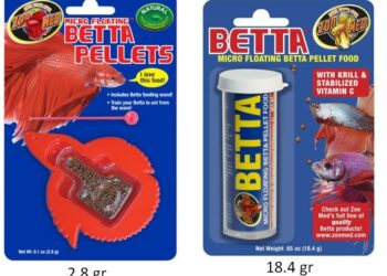 Est-ce qu'un beta dort ?