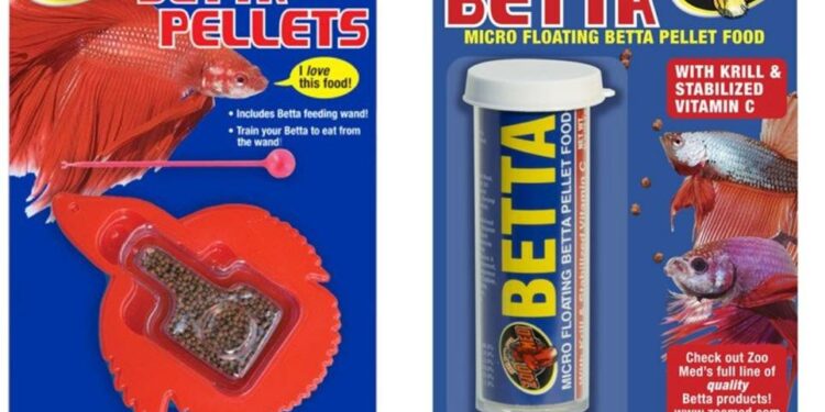 Est-ce qu'un beta dort ?