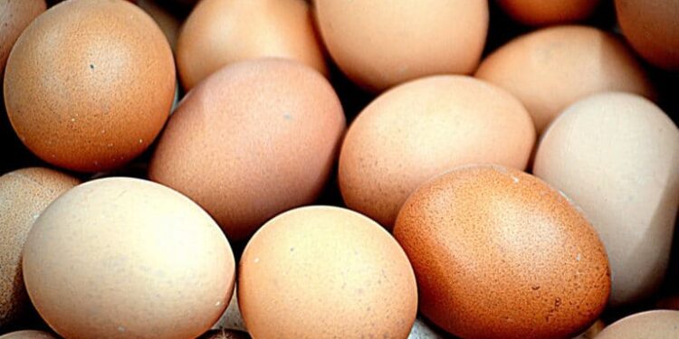 Est-ce qu'un canard peut s'accoupler avec une oie ?