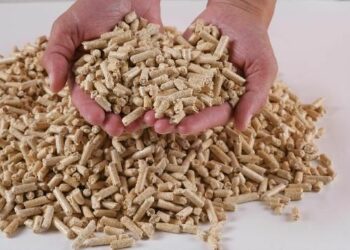 Est-ce qu'un cochon d'Inde est propre ?