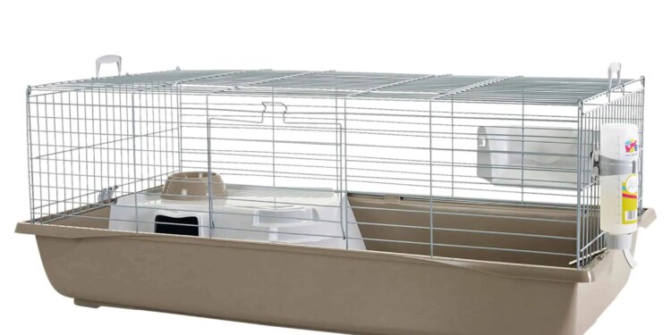 Est-ce qu'un lapin doit vivre en cage ?