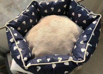 Est-ce qu'un lapin dort dans le noir ?