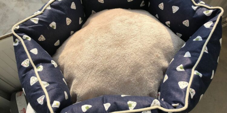 Est-ce qu'un lapin dort dans le noir ?