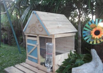 Est-ce qu'un lapin peut boire dans une gamelle d'eau ?