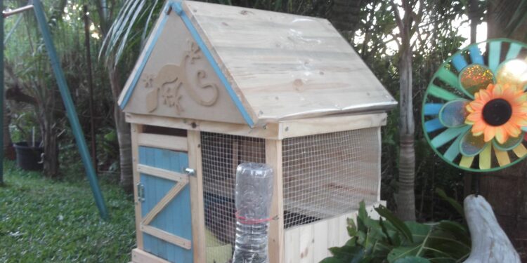 Est-ce qu'un lapin peut boire dans une gamelle d'eau ?