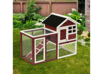 Est-ce qu'un lapin peut rester dehors en hiver ?