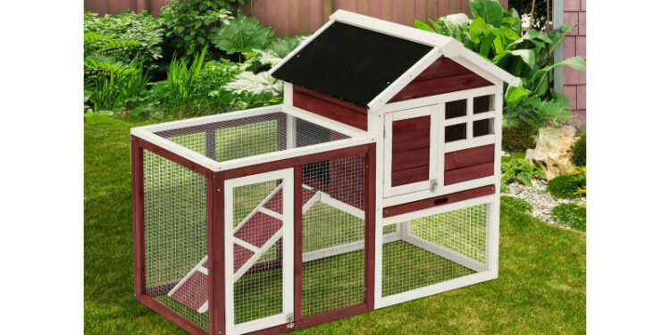 Est-ce qu'un lapin peut rester dehors en hiver ?