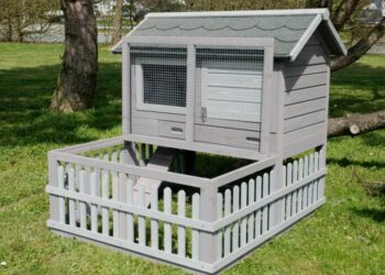 Est-ce qu'un lapin peut rester dehors en hiver ?