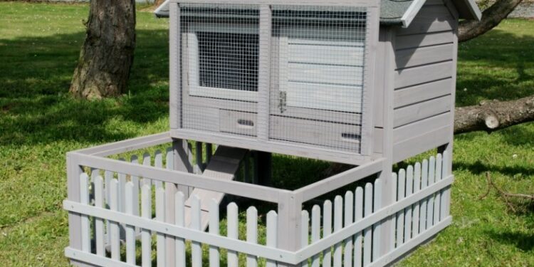 Est-ce qu'un lapin peut rester dehors en hiver ?