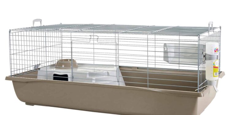 Est-ce qu'un lapin peut voyager ?