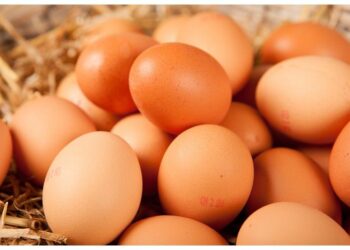 Est-ce qu'un particulier peut vendre des œufs ?