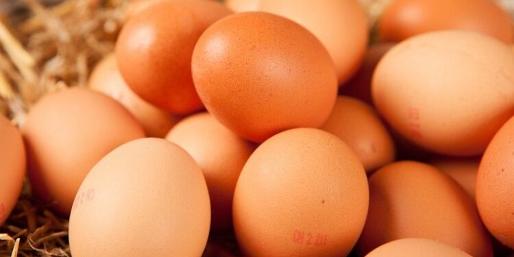 Est-ce qu'un particulier peut vendre des œufs ?