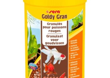 Est-ce qu'un poisson rouge peut rester sans manger ?