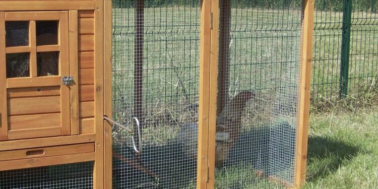 Est-ce qu'un renard peut monter sur un grillage ?