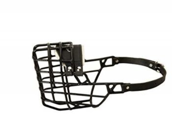 Est-ce qu'une muselière empêcher un chien d'aboyer ?