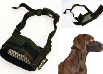 Est-ce qu'une muselière empêcher un chien d'aboyer ?