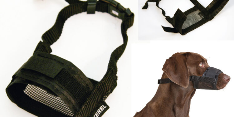 Est-ce qu'une muselière empêcher un chien d'aboyer ?