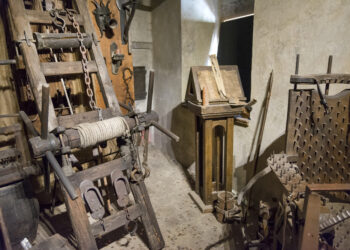 Est-ce qu'une tortue a besoin de compagnie ?