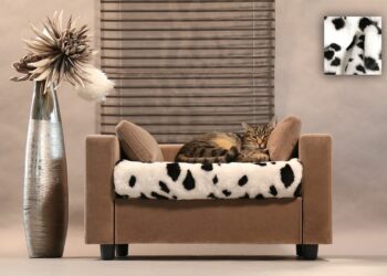 Est-il bon de couper les griffes d'un chat ?