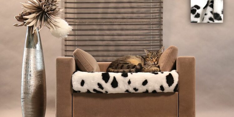 Est-il bon de couper les griffes d'un chat ?