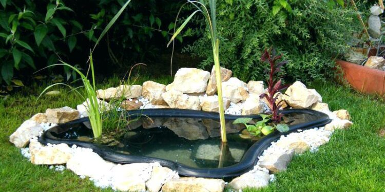 Est-il bon de donner du pain aux poissons ?