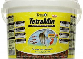 Est-il bon de donner du pain aux poissons ?