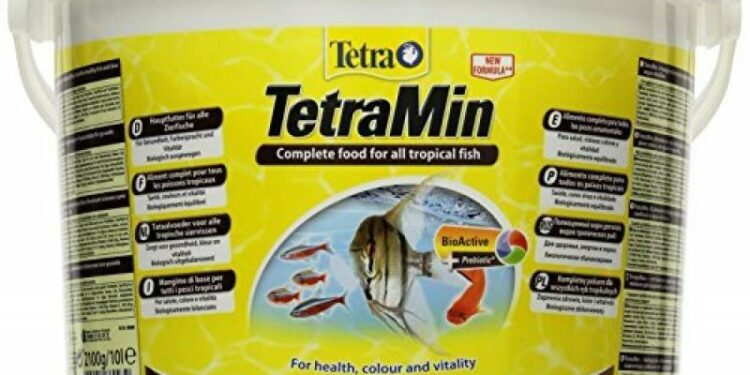 Est-il bon de donner du pain aux poissons ?