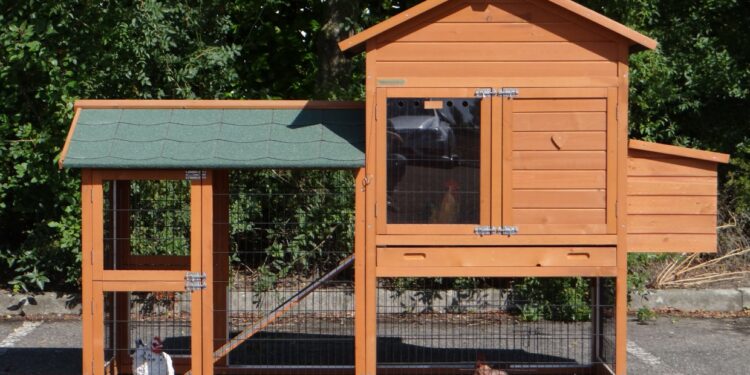 Est-il interdit d'avoir des poules dans son jardin ?