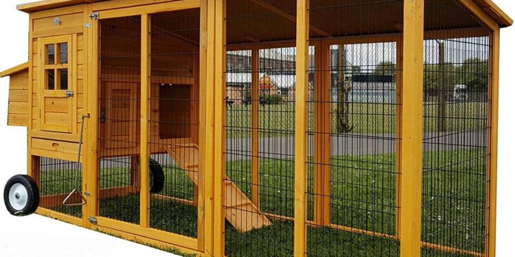 Est-il interdit d'avoir des poules dans son jardin ?