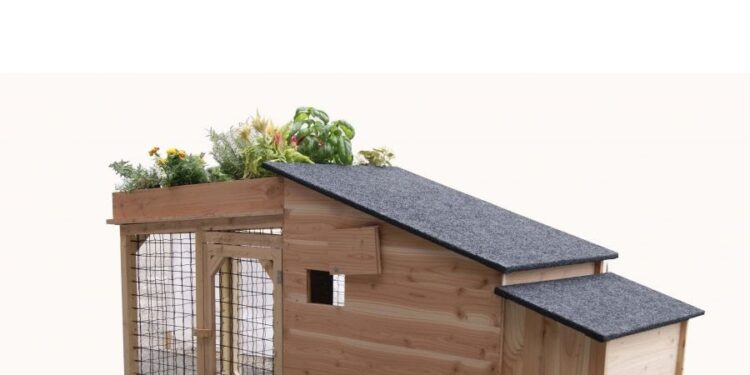 Est-il interdit d'avoir des poules dans son jardin ?