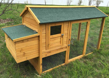 Est-il interdit d'avoir des poules dans son jardin ?