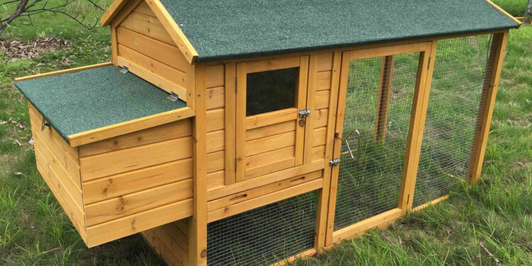 Est-il interdit d'avoir des poules dans son jardin ?