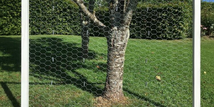 Est-il obligatoire de déclarer ses poules en mairie ?