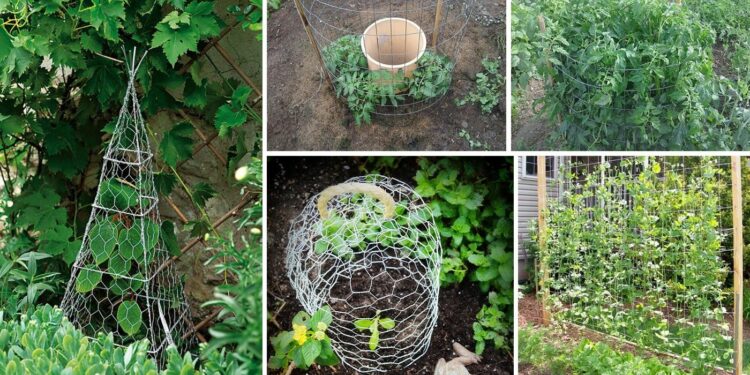 Est-il obligatoire de déclarer ses poules en mairie ?