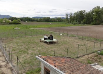 Est-il obligatoire de déclarer ses poules en mairie ?