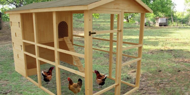 Est-il obligatoire de déclarer ses poules en mairie ?