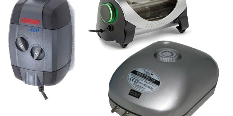 Est-il obligatoire de mettre un bulleur dans un aquarium ?