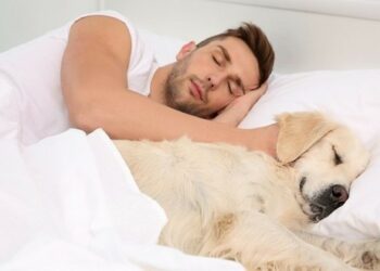 Fait-il se lever la nuit pour sortir son chiot ?