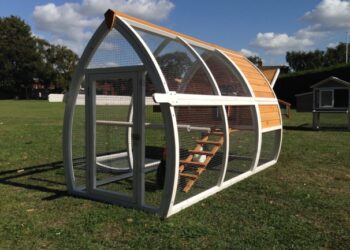 Fait-il une fenêtre dans un poulailler ?