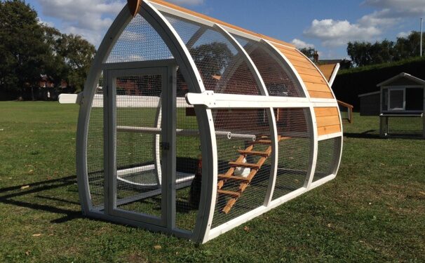 Fait-il une fenêtre dans un poulailler ?