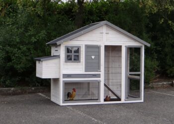 Fait-il une fenêtre dans un poulailler ?