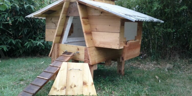 Fait-il une fenêtre dans un poulailler ?