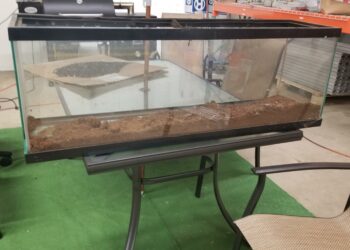 How do I turn my aquarium into a terrarium?