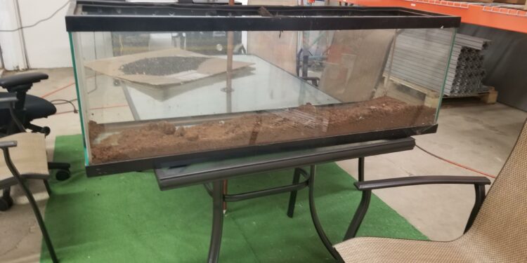 How do I turn my aquarium into a terrarium?