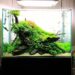 How do you Aquascape a 20 gallon tank?